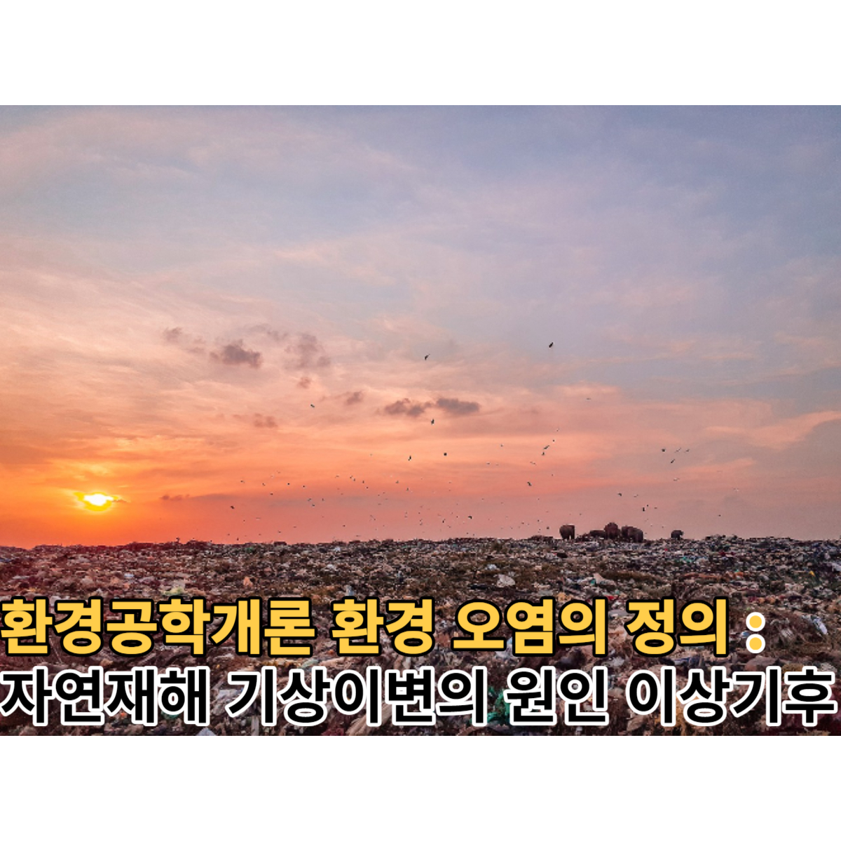 환경문제 자연재해 기상이변의 원인 이상기후