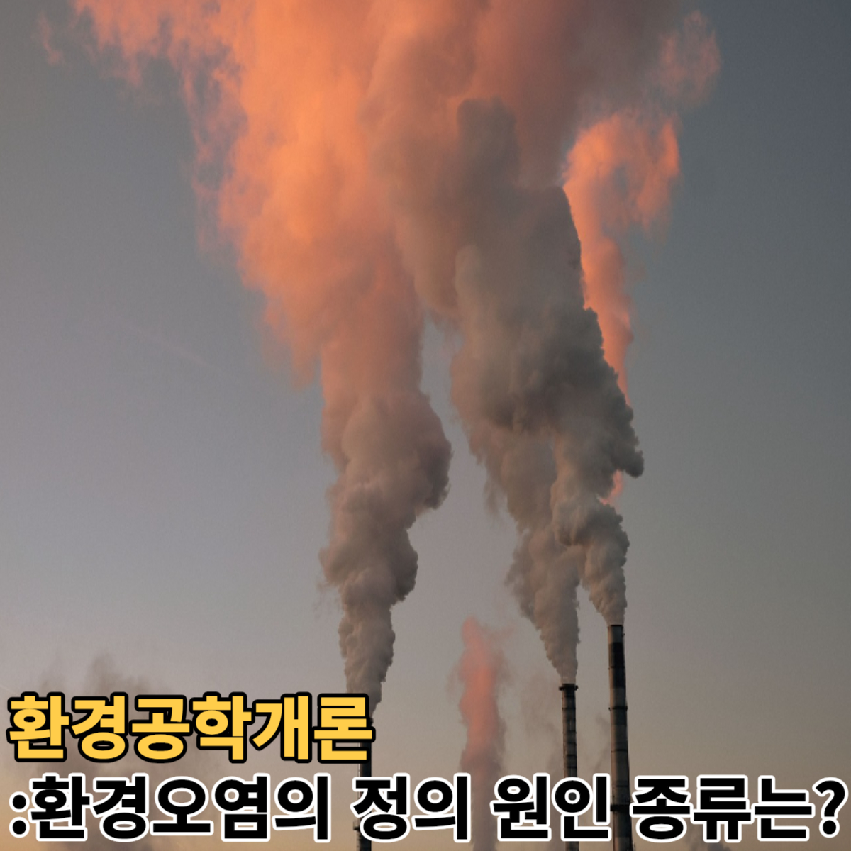 환경오염의 정의 원인 종류