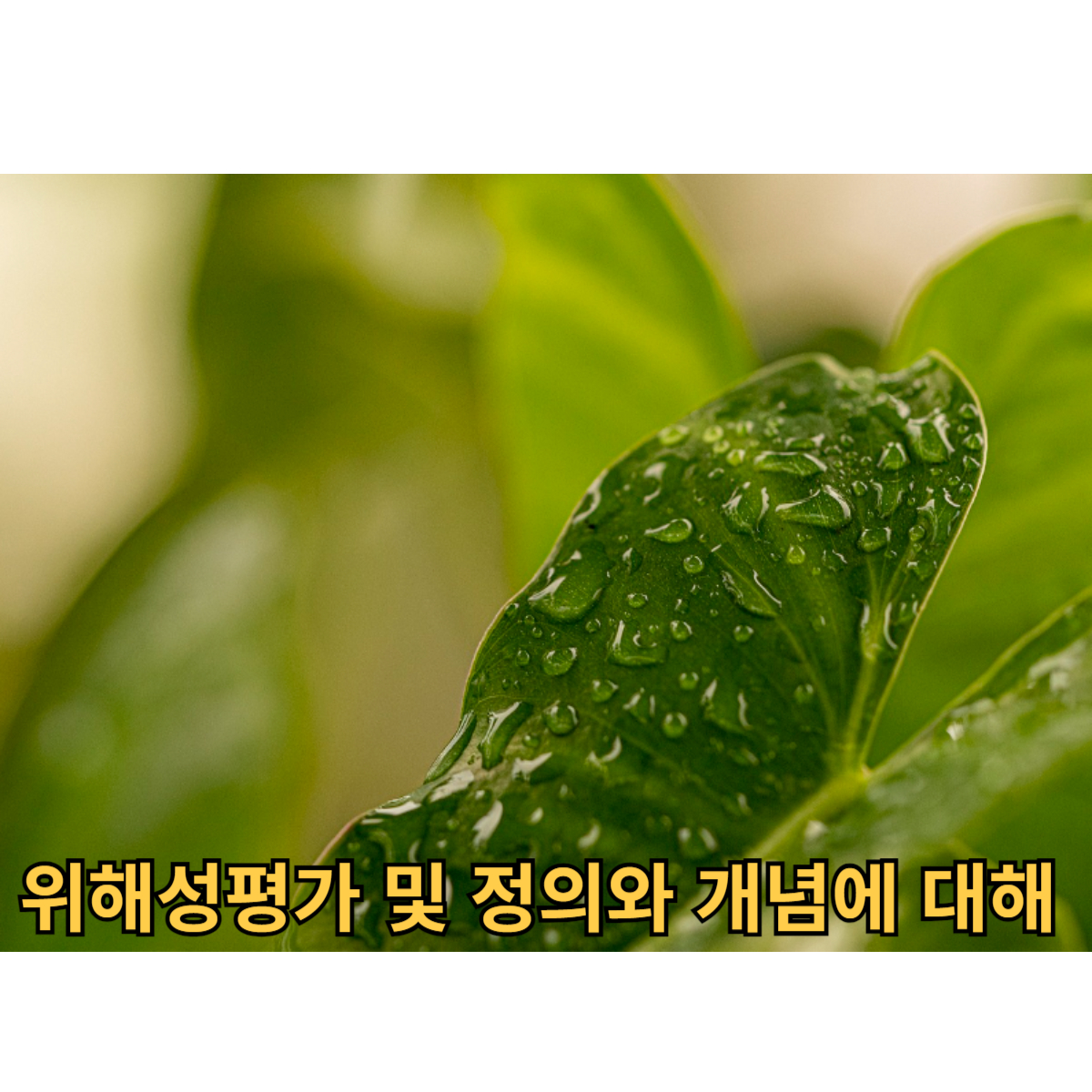 위해성평가