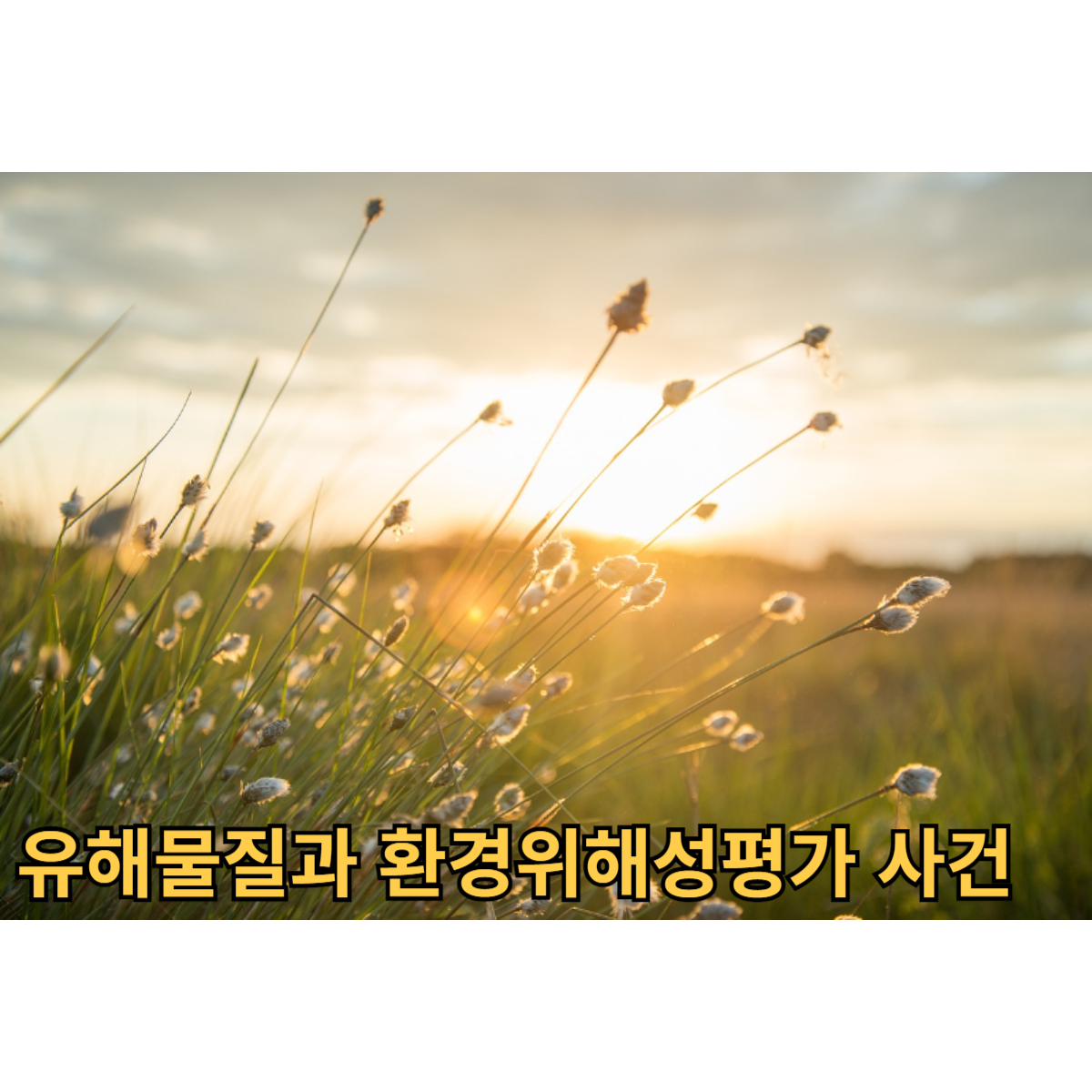 유해물질과 환경위해성평가 사건